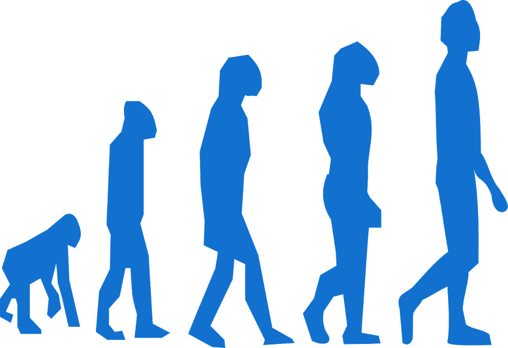 evoluzione creazionismo