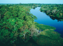 amazzonia