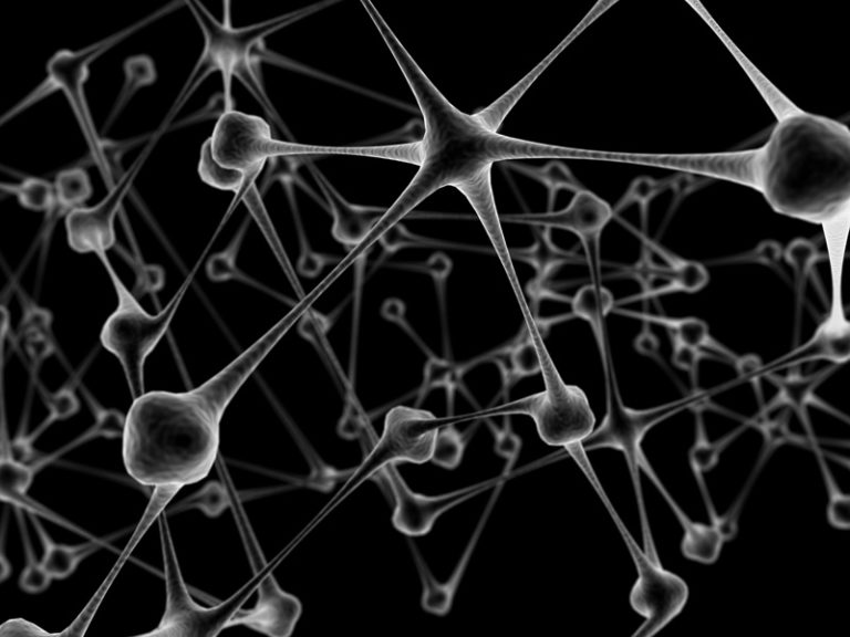 Le nano-strutture del funzionamento del cervello