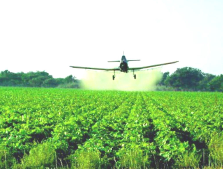 Pesticidi, salute, prodotti bio