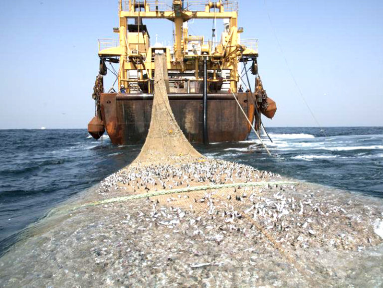 Ancora pesca con reti a strascico nell’arcipelago toscano