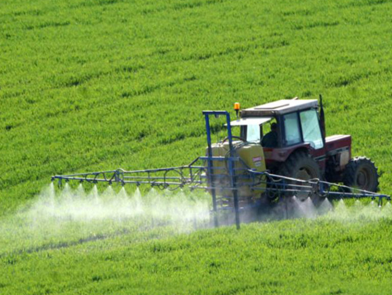Pesticidi: la decontaminazione col batterio giusto