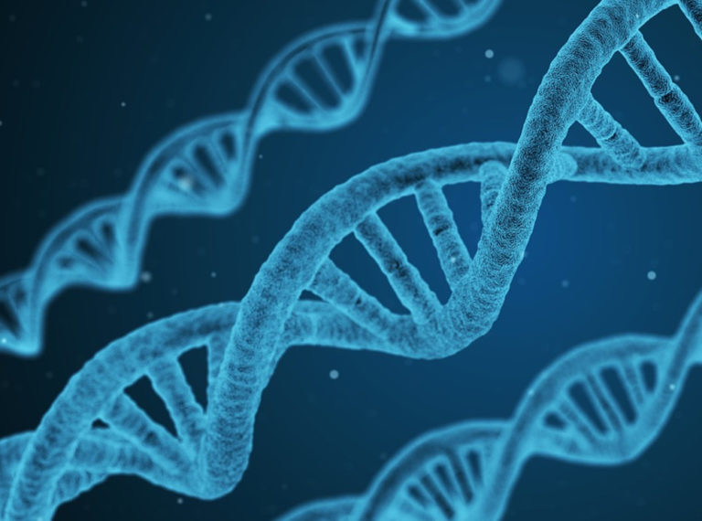 Osservata per la prima volta la formazione di DNA ibridi