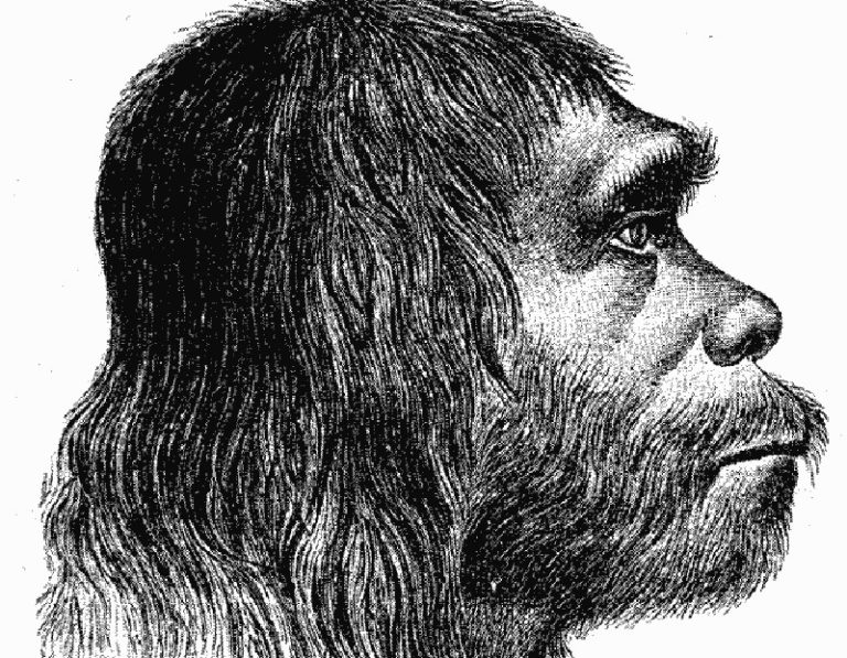 Il campo magnetico uccise Neanderthal e mammiferi