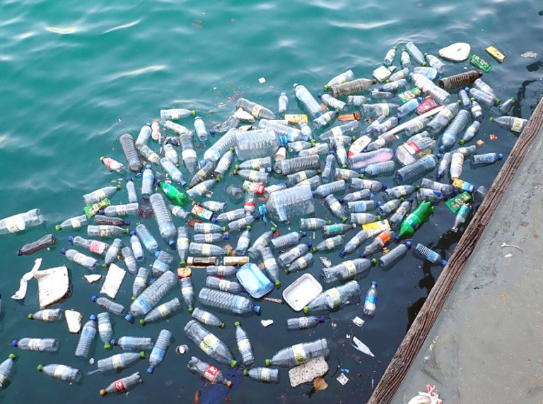 Plastica in mare, i danni nelle aree protette