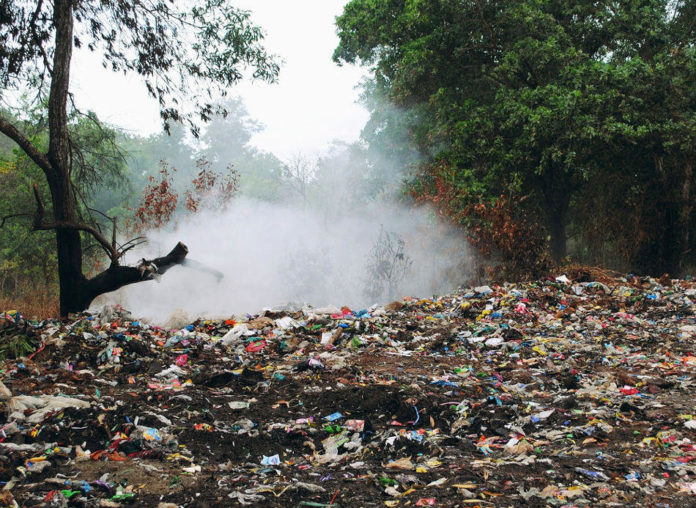 rifiuti discarica bosco