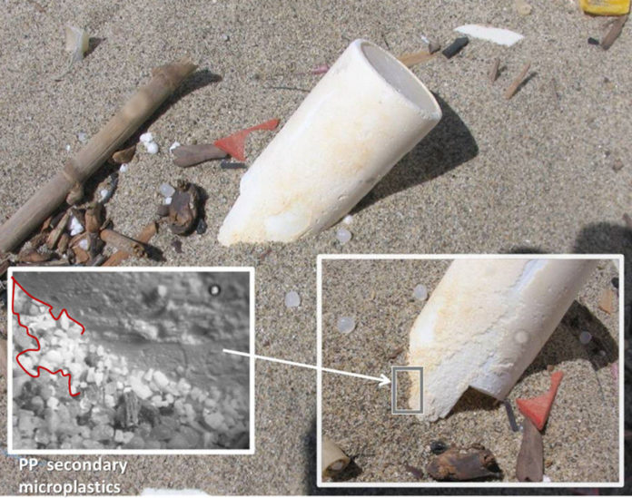 microplastiche mare spiaggia inquinamento