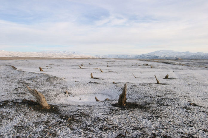 fossili nel permafrost siberia