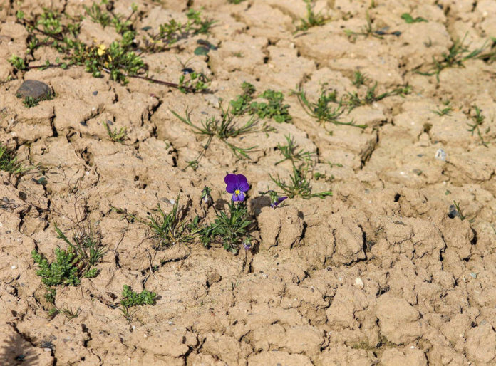 desertificazione aridità clima