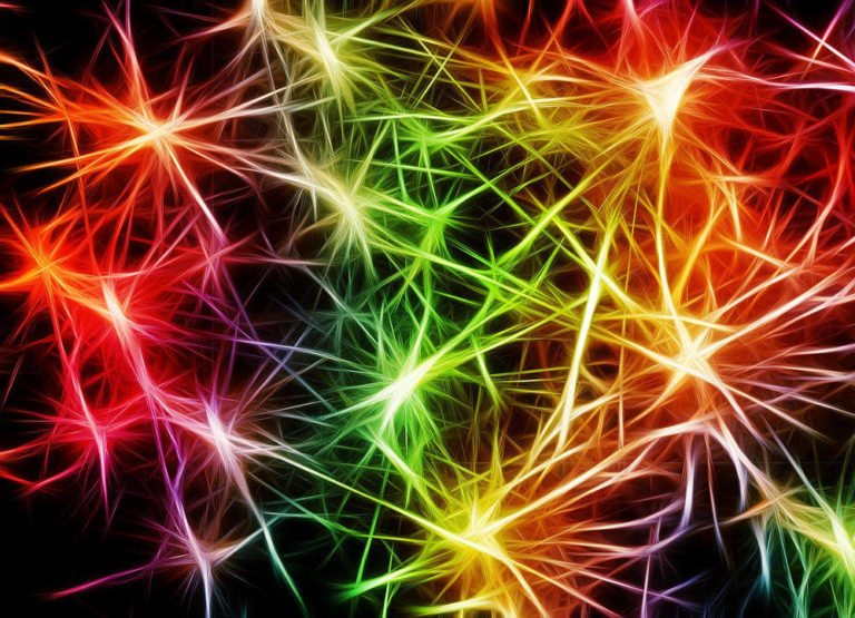 Primi collegamenti artificiali per neuroni