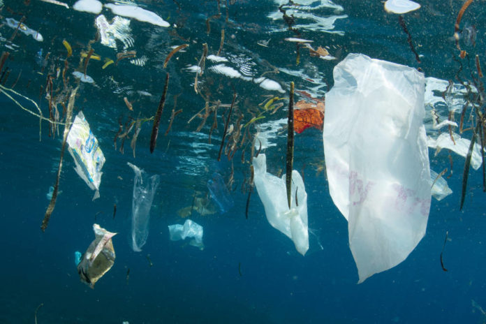 plastica mare inquinamento
