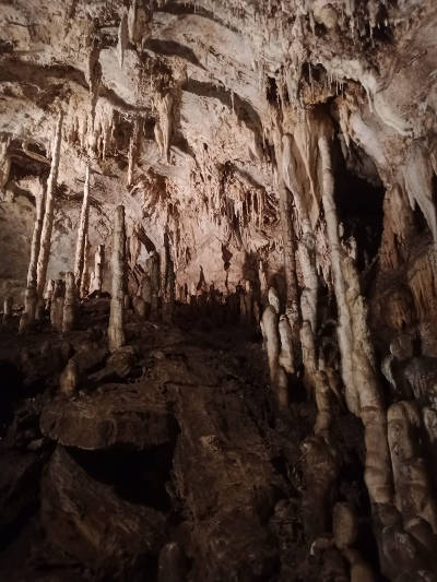 Grotta del Corchia foto Paolo Billari