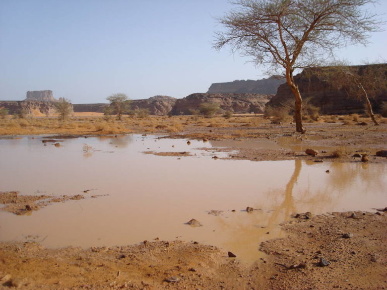 Coltivare nel Sahara è possibile, l’esempio dei Tuareg