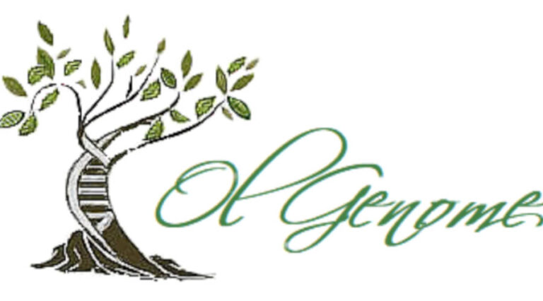 È completo il sequenziamento del genoma dell’olivo