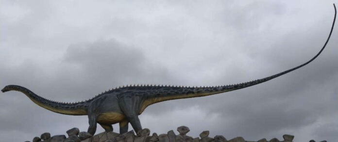 Modello in scala 11 esposto al DinoParque di Lourinha
