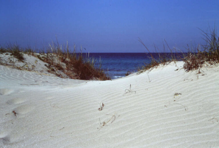 La Puglia affida la tutela delle dune ai lidi