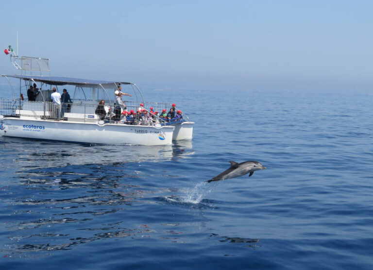 Taranto, l’Intelligenza artificiale in soccorso dei cetacei