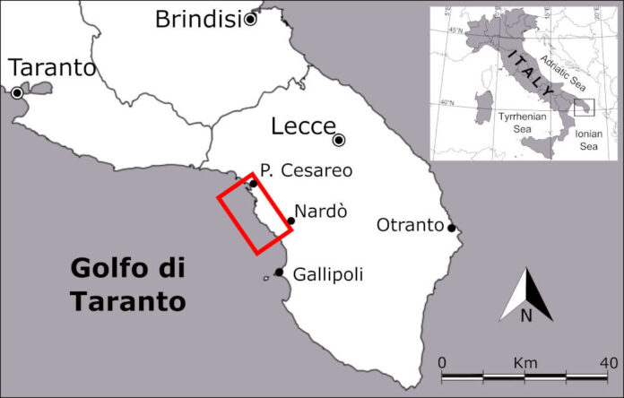Sanso-fig 1 ubicazione area ita