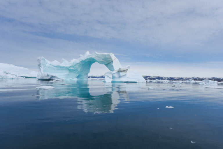 Groenlandia, «disgelo» e zanzare