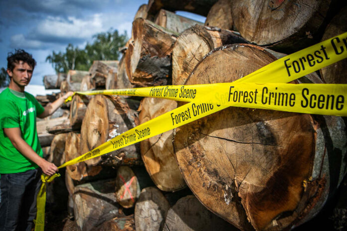 Protest against Illegal Logging in the Czech Republic
