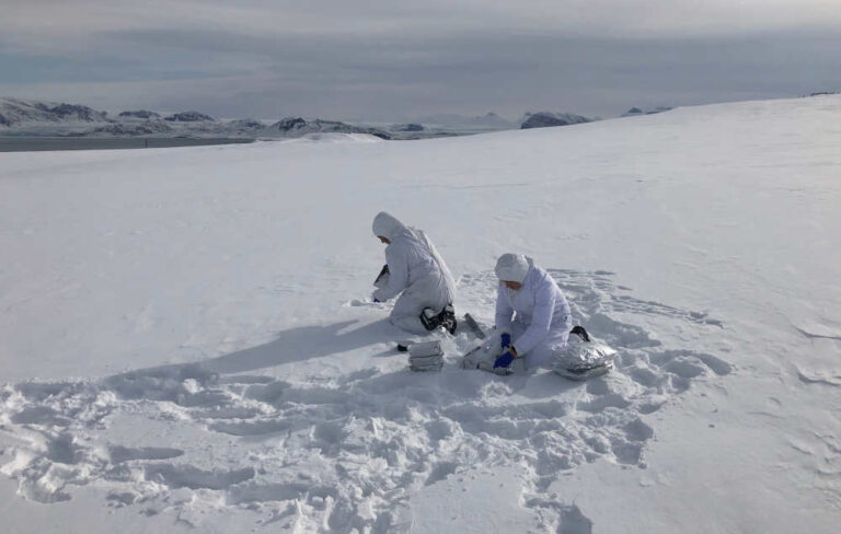 Anche nelle nevi del Polo Nord tracce di creme solari 