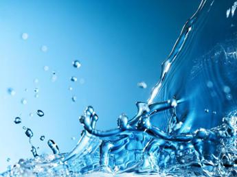 Acqua, l’impronta idrica dello spreco alimentare: 151 miliardi di litri persi