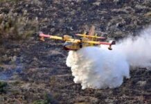 Incendi Italia, in sette mesi più di 1070 grandi roghi boschivi